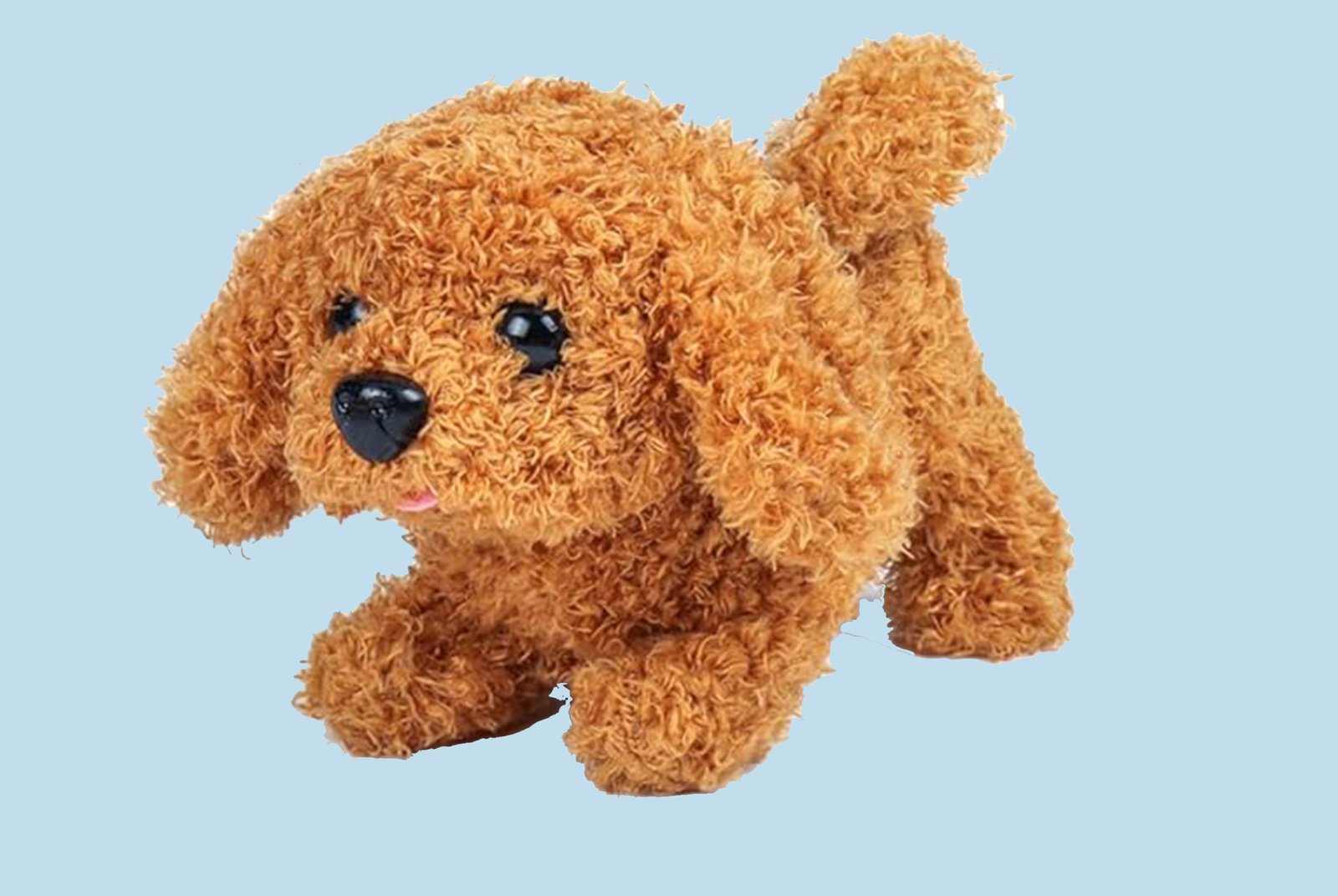 Toy Dog